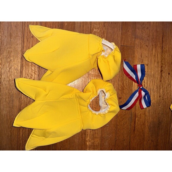 Eagle Maniac Mascot Animal Bird Dress Up Adult Costume USA Labor Day July 4th - Picture 7 of 14